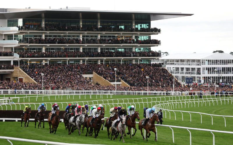 cheltenham-festival-horse-racing