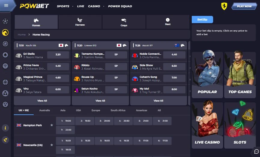 powbet