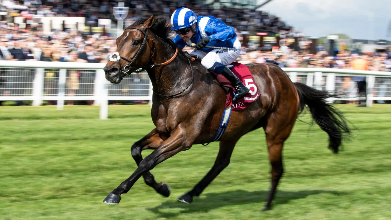 horses bets antepost betting tips bet horse racing terms