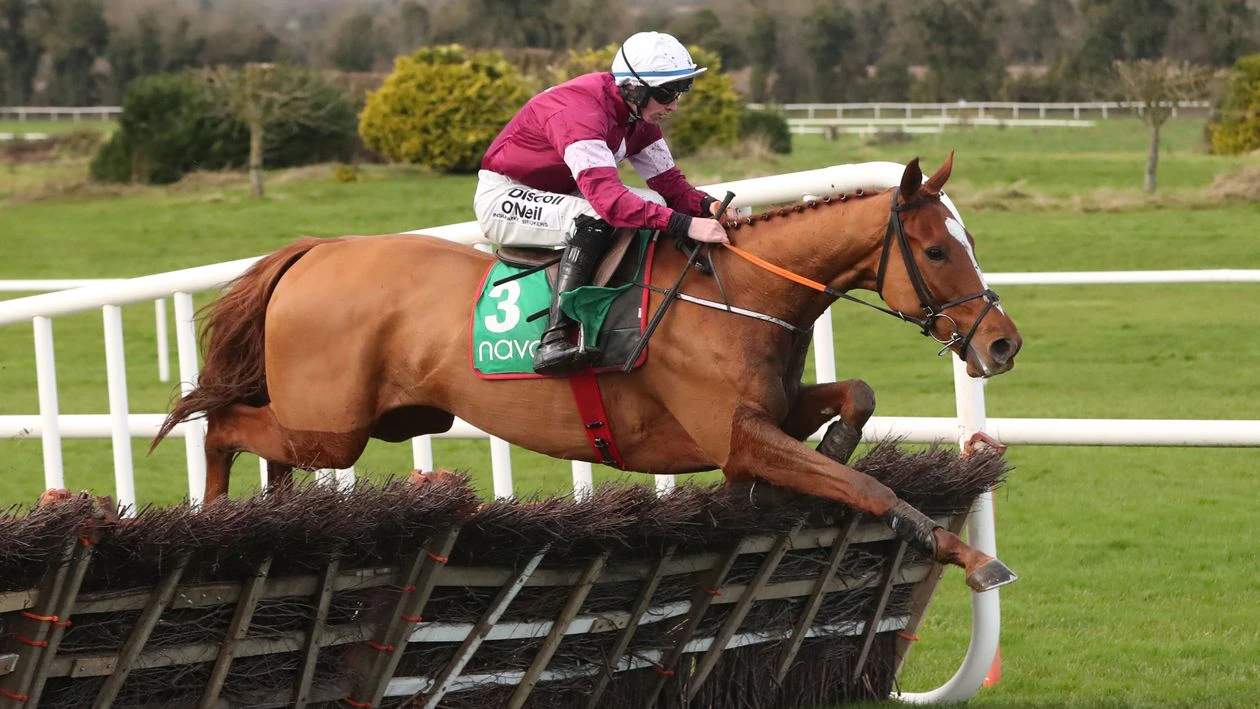 non-runner what is non runner no antepost bet