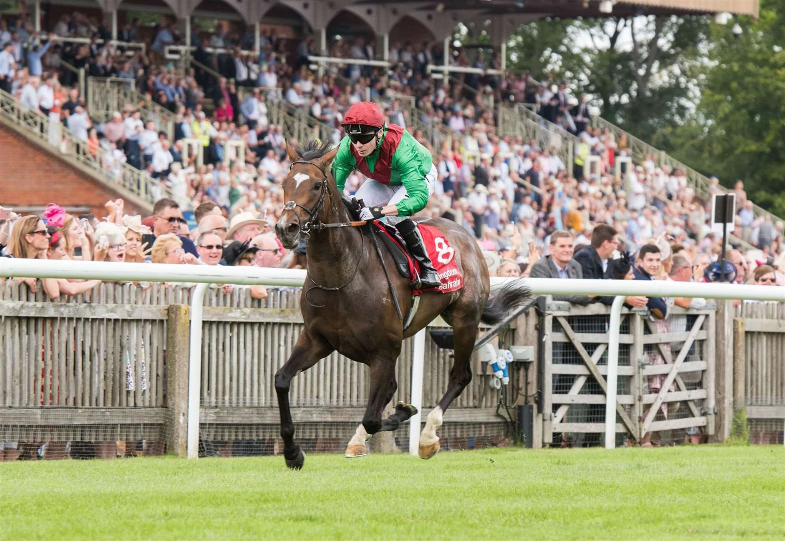 outsider-horse how to pick outsiders in horse racing