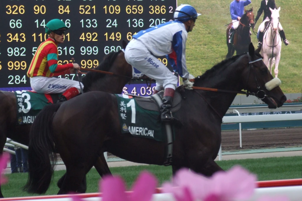 horse race how to handicap horses