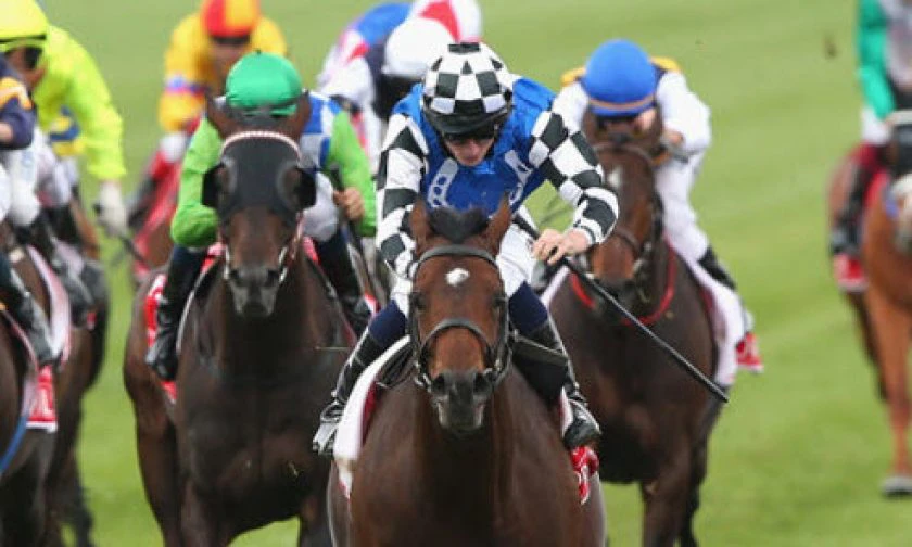 racing picks
