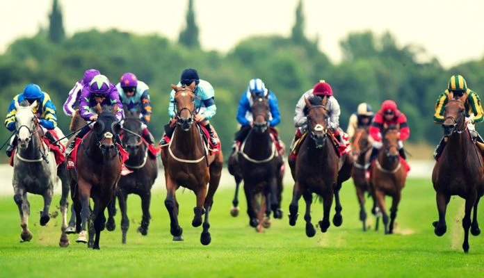 place bet backing horse