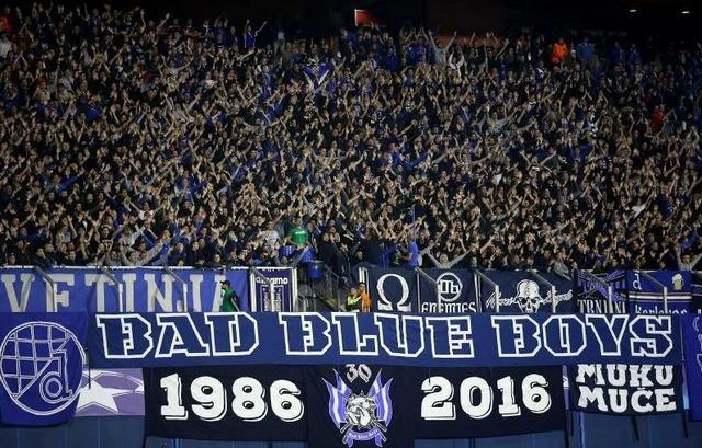 bad blue boys dinamo zagreb hooligans