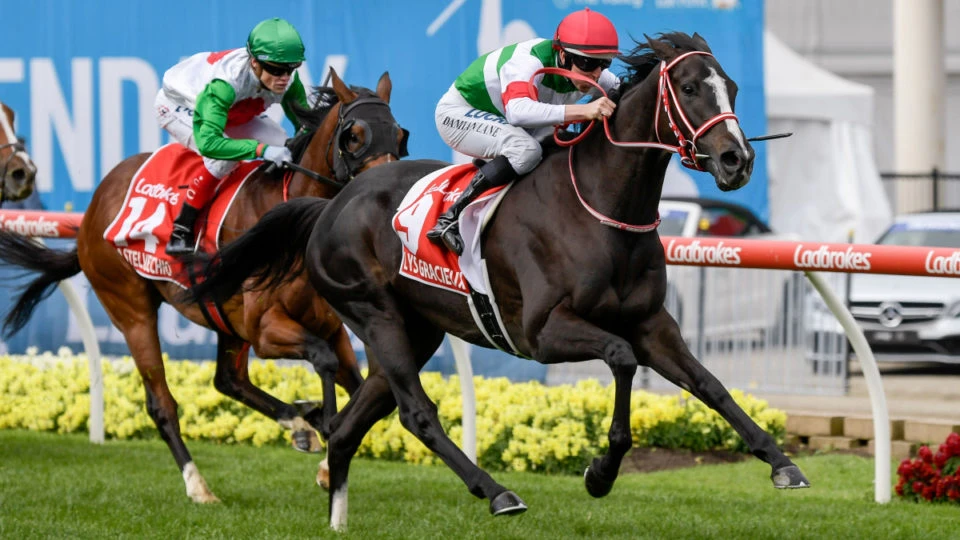 horse racing horse racing exotic bets and betting systems
