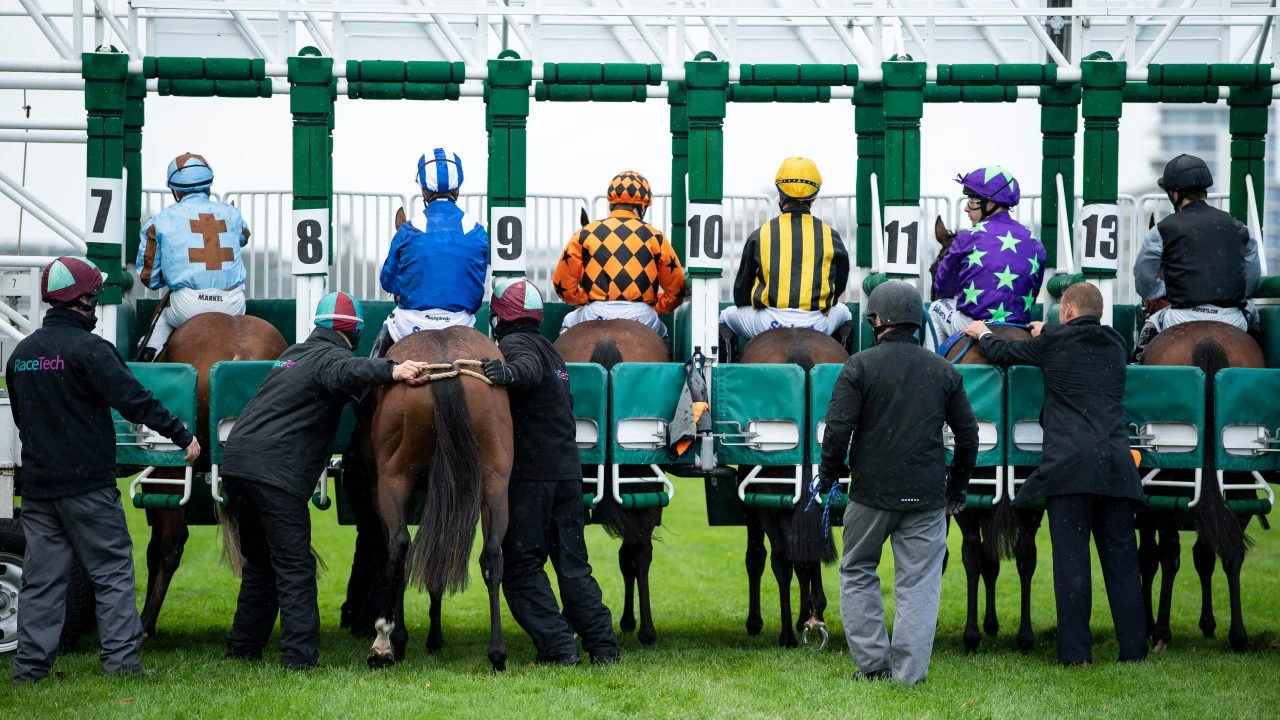 horse how to bet horses successfully quinella bet