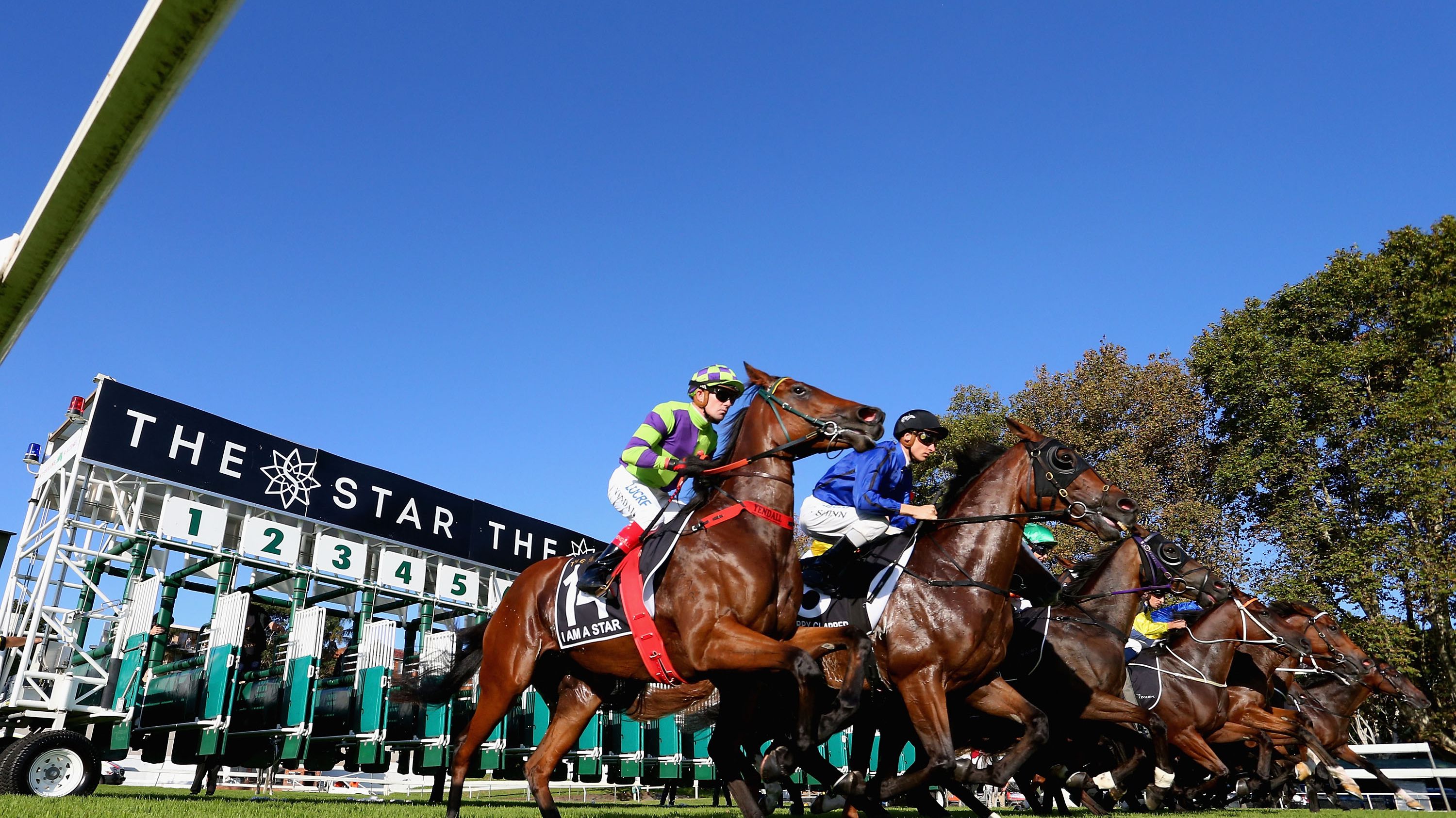 wheel bet horse racing betting strategies wheel bet horse racing betting strategies