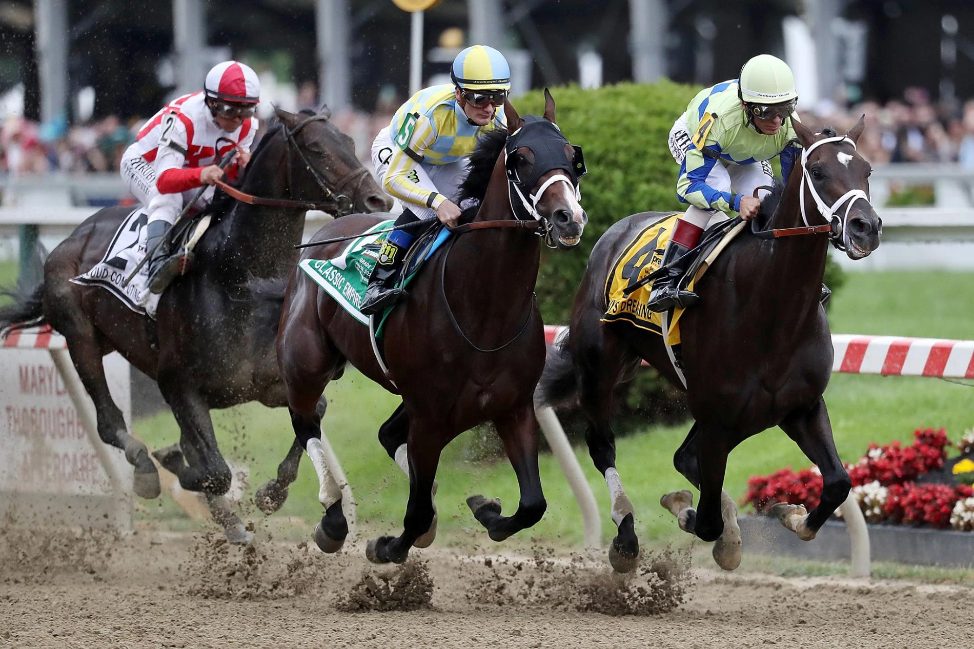 quinella what is a boxed exacta betting quinella