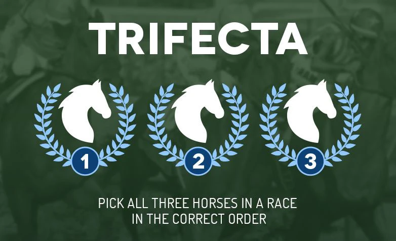 trifecta how much is a trifecta box