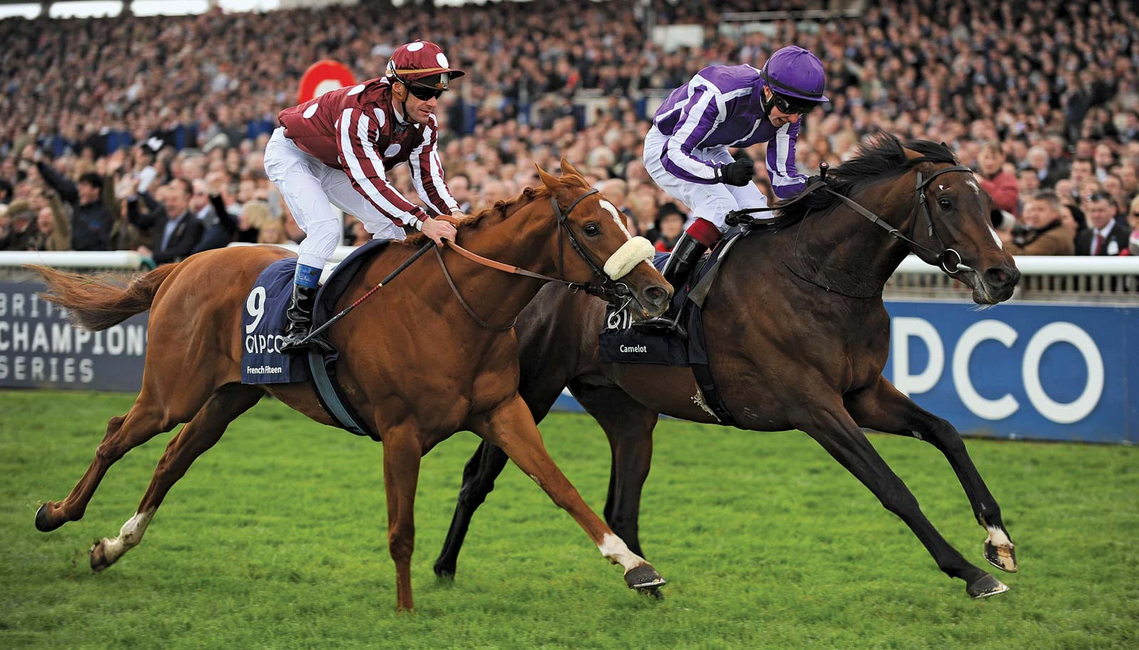 quinella what is box quinella in horse racing