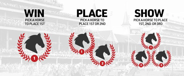 win place show what is an exacta payout box bet