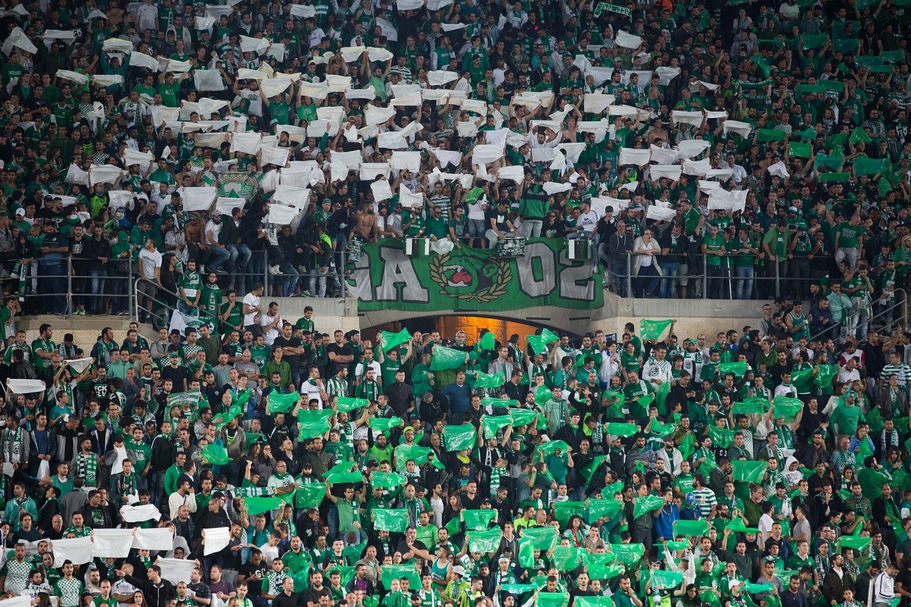 israel football maccabi haifa fc fans
