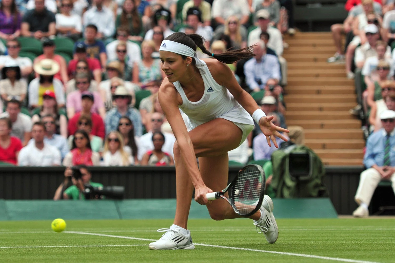power horse serbia davis cup ana ivanovic