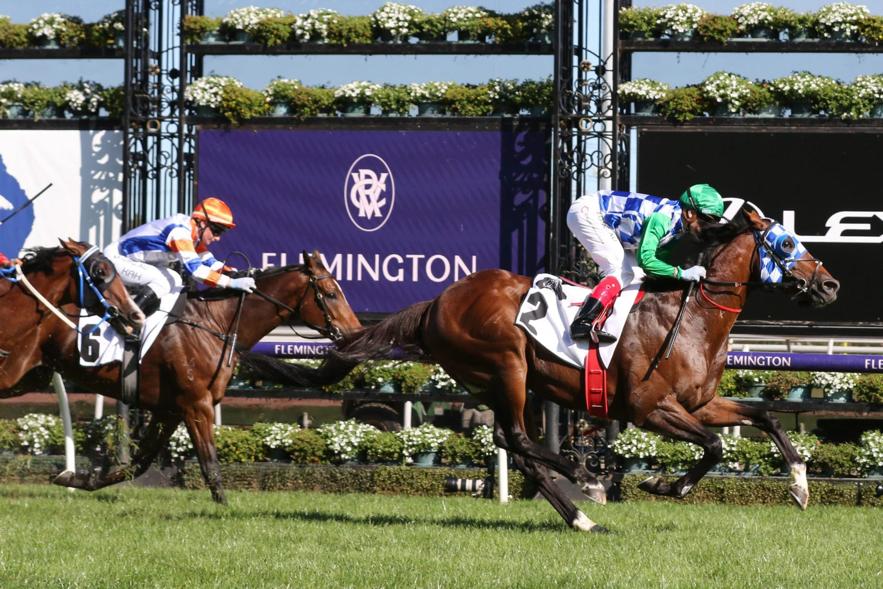 horse-price what is sp in horse racing betting