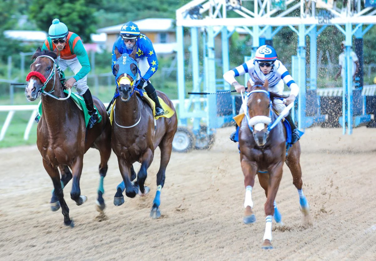 horse-race-sp starting price sp horse racing betting odds