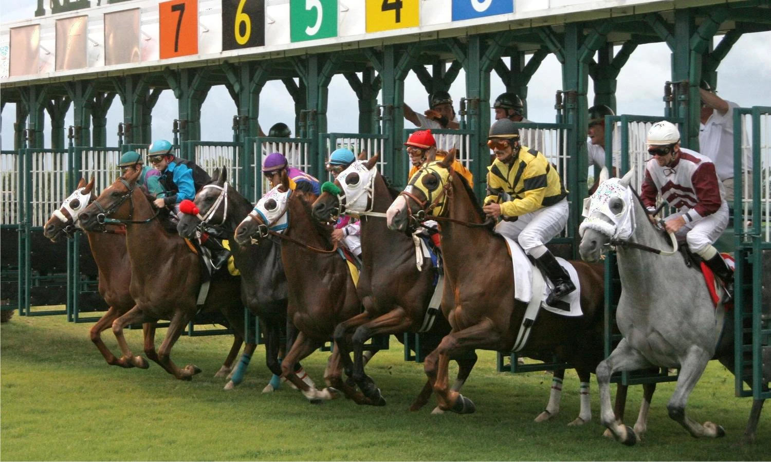 horse-start horse racing the starting price sp betting