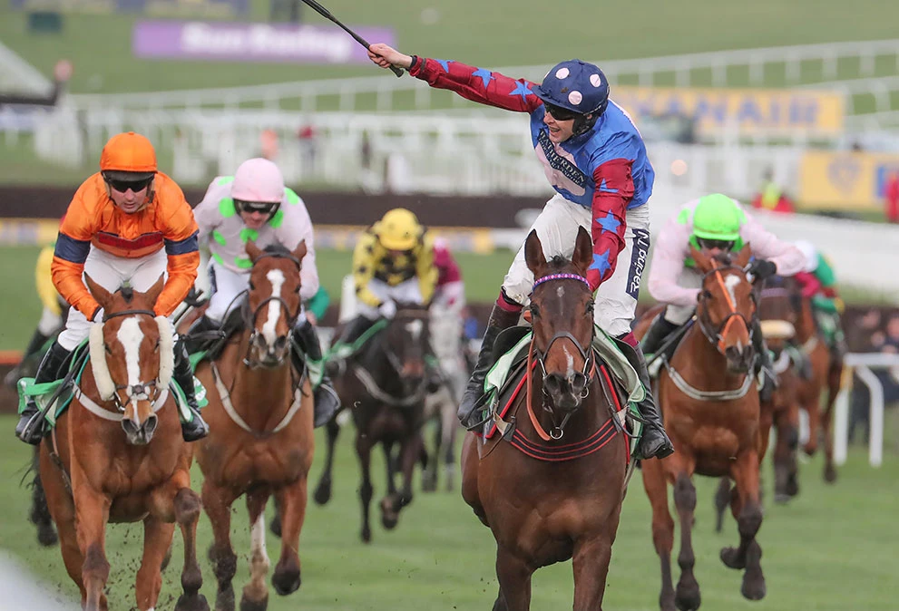 horse-racing-card how to study horse racing form