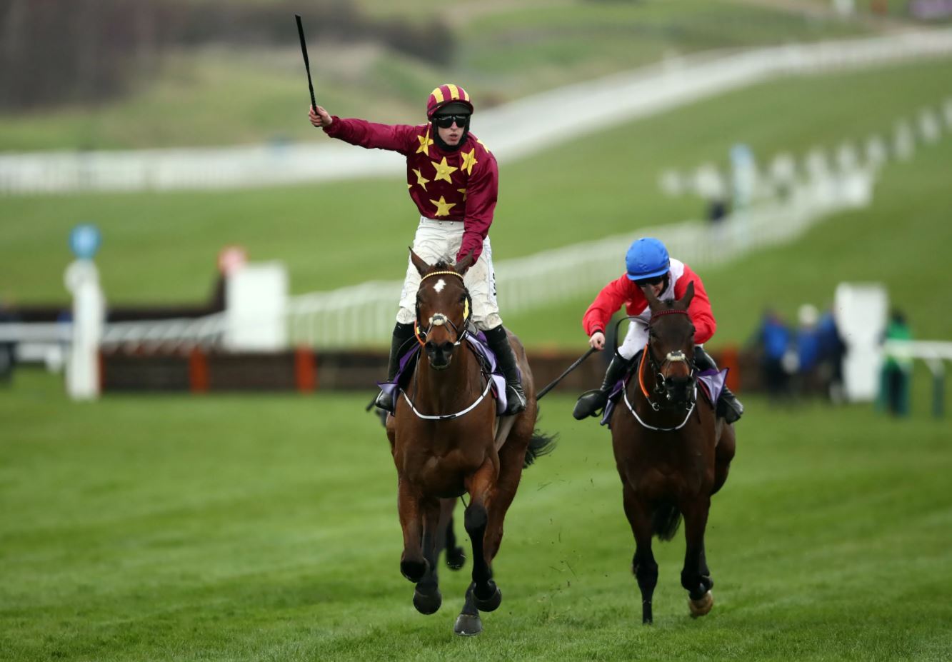 form-in-horse-racing where to buy a racing form