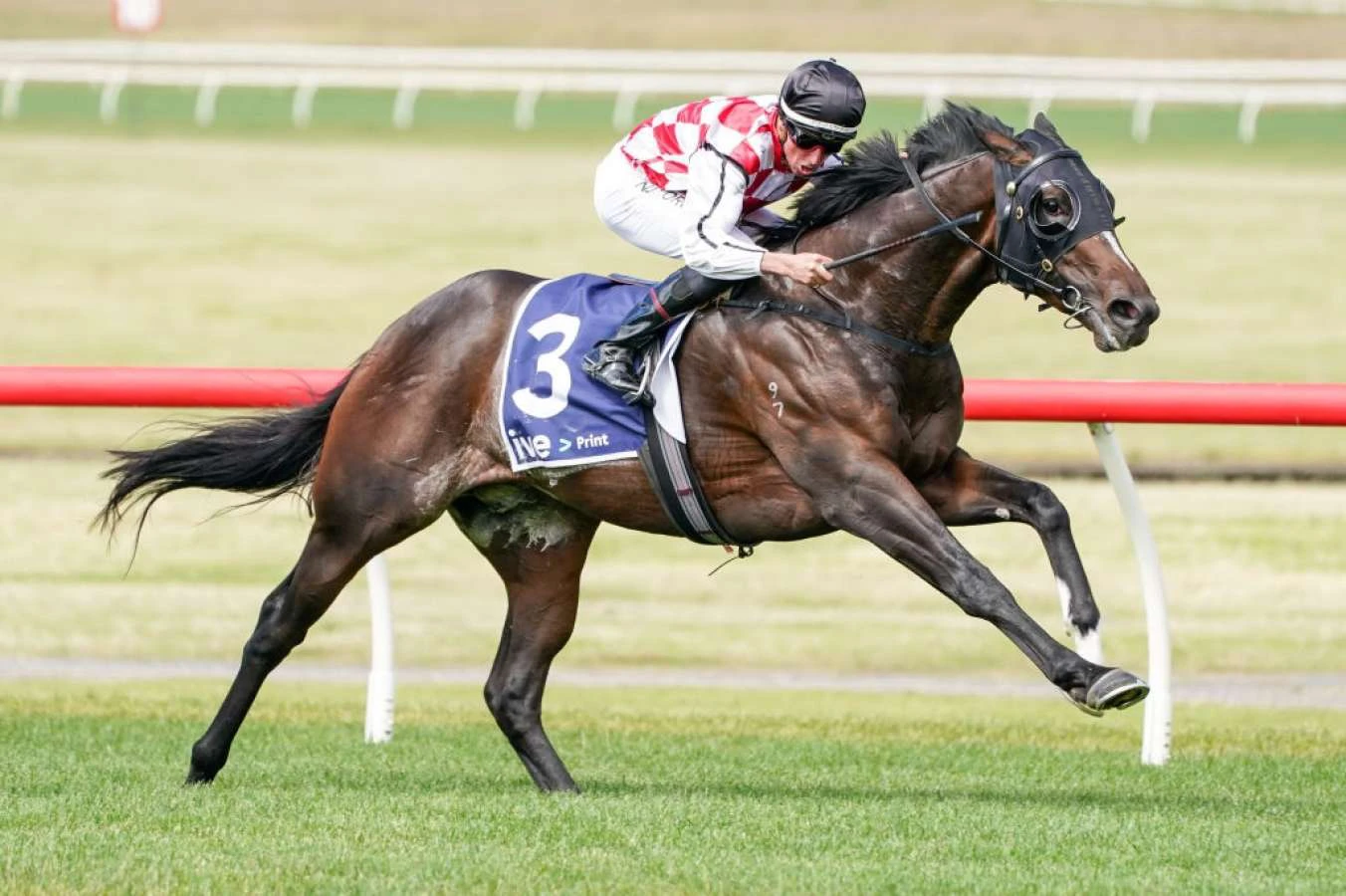 horse-racing-guide horse racing form numbers letters