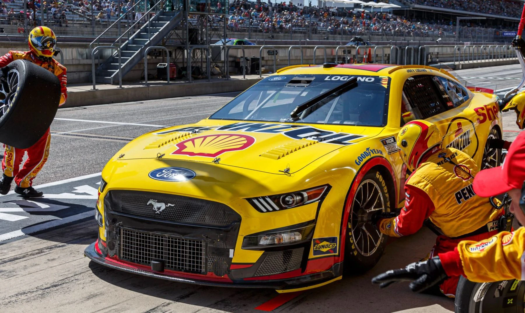 nascar betting guide tips online strategies sites