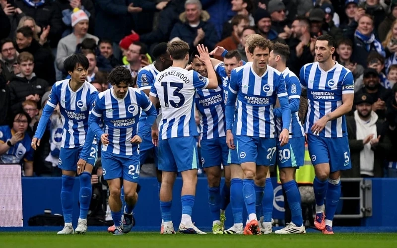 brighton-hove-albion-team brighton-hove-albion-team