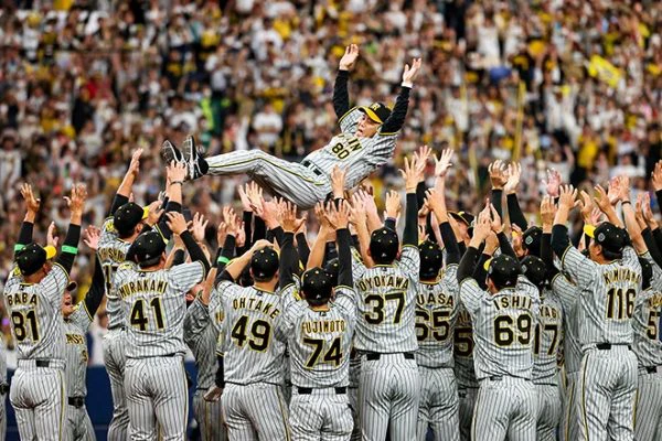 npb-betting-hanshin-tigers