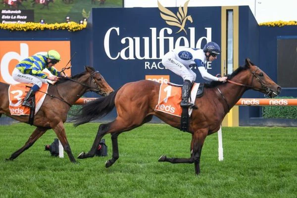 horse-racing-competition horse-racing-competition