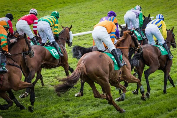 what-is-a-quinella-bet-in-horse-racing what-is-a-quinella-bet-in-horse-racing