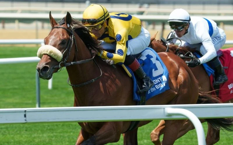 man-owar-belmont-stakes-how-to-bet
