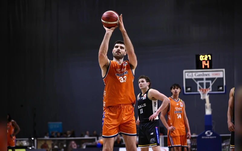 nz-nbl-playoffs-prediction-sharks-vs-whai